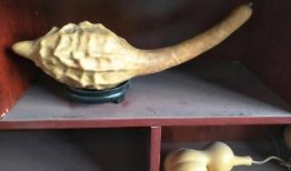 葫芦最新爆料视频大全,精彩瞬间尽收眼底