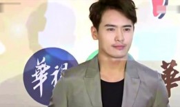 陈泽传媒爆料事件视频,揭秘幕后真相