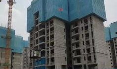 鸿阜园最新爆料新闻视频,揭秘神秘项目背后的惊人真相！