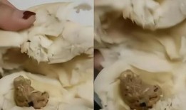 包子馅料爆料方法视频,跟随视频学习独家爆料技巧