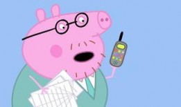 家有小猪仔的爆料视频