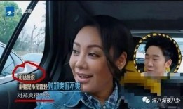 宁静私下爆料视频播放下载,独家下载解析