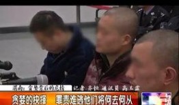 失踪男孩爆料视频大全,惊心动魄的爆料视频大盘点
