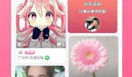 丑角最新爆料视频大全下载,揭秘娱乐圈幕后真相