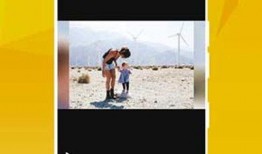 新闻博主爆料视频下载网站,博主爆料背后的真相