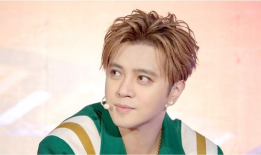 罗志祥娱乐圈爆料,揭秘明星背后的真相与争议