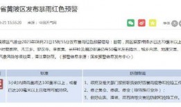 武汉市新闻爆料电话号码,守护城市脉搏的“耳目”
