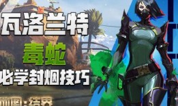 瓦洛兰特最新角色爆料,神秘英雄降临，战局风云再起！