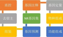 新闻报料爆料流程图,如何高效传递线索