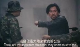 省港夜莺电影在线观看,光影交织的港夜传奇