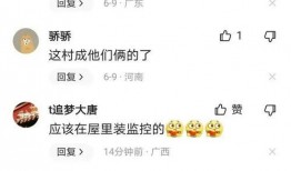 妻子出轨爆料怎么办呢视频,如何应对与自我救赎