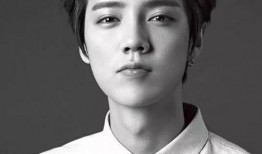 鹿晗家世逐一爆料视频大全,全方位解析明星背后的家族背景