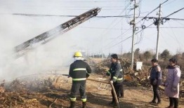 吉林木材厂爆料视频播放,揭露行业黑幕与环保问题