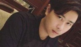 东北主播爆料视频播放,爆款视频背后的幕后故事