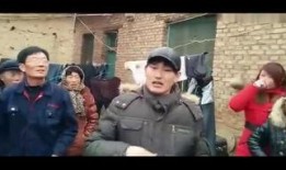 朱之文近日爆料视频最新