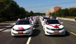 美国车队爆料视频播放大全,精彩瞬间一网打尽