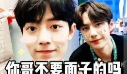 娱乐吃瓜酱哥哥和弟弟在线观看,哥哥弟弟在线观看，欢乐时光共享