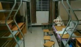 郑州大学宿舍爆料视频最新,揭秘校园生活真实面貌
