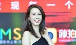 新闻爆料张大奕,揭秘网红电商背后的争议与真相