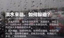 爆料哥全部视频,揭秘社会热点背后的真相
