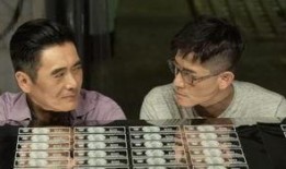 落鸟电影在线观看香港,香港风情尽收眼底