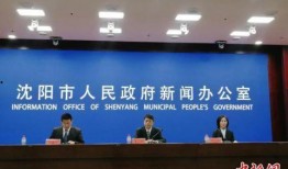 辽宁沈阳新闻爆料,爆料的惊人真相，揭秘背后惊人内幕