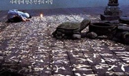 春夏秋冬又一春在线观看,穿越四季的禅意人生