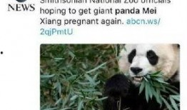 爆料美国动物园视频大全,视频大全背后的真实世界