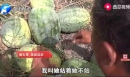 吃瓜最新事件爆料兰陵